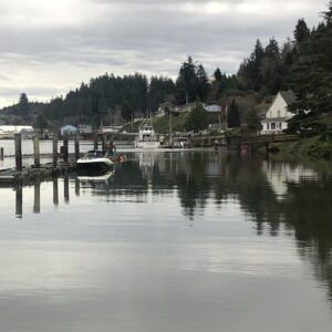 Calm waterfront scene with docks, moored boats, houses, and evergreen trees under an overcast sky, reflecting on the still water.