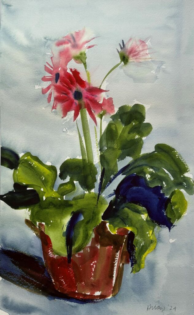 Gerber Daisies, original watercolor painting of pink daisies potted in a brown pot with a grey and blueish background.