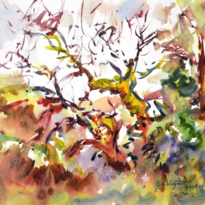 4640 Crab Apple, original watercolor painting of a tree that has lost most of its leaves. The colors are warm fall colors of light green, burgundy, tans and purple. There is a cloudy sky above and greenery all around the tree.