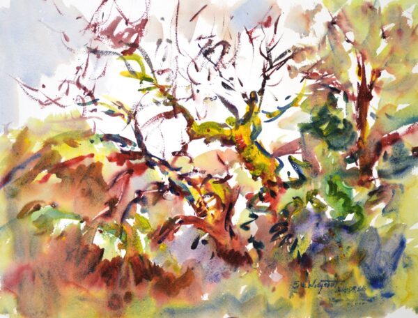 4640 Crab Apple, original watercolor painting of a tree that has lost most of its leaves. The colors are warm fall colors of light green, burgundy, tans and purple. There is a cloudy sky above and greenery all around the tree.