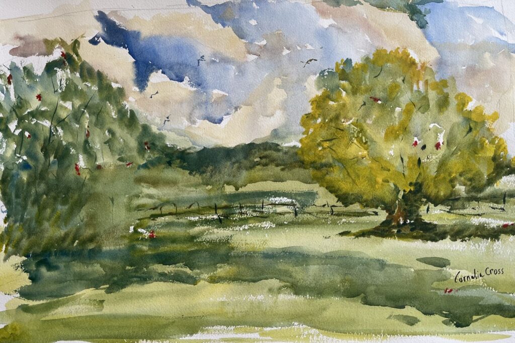 Summer View, original watercolor painting of a green meadow with a fence running through it. There are two trees in the meadow and a hill covered with trees in the distance. The sky is blue with scattered clouds.